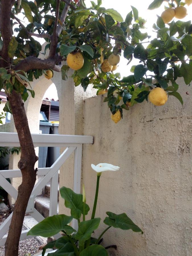 Bed and Breakfast L'Orangeraie Elne Exterior foto